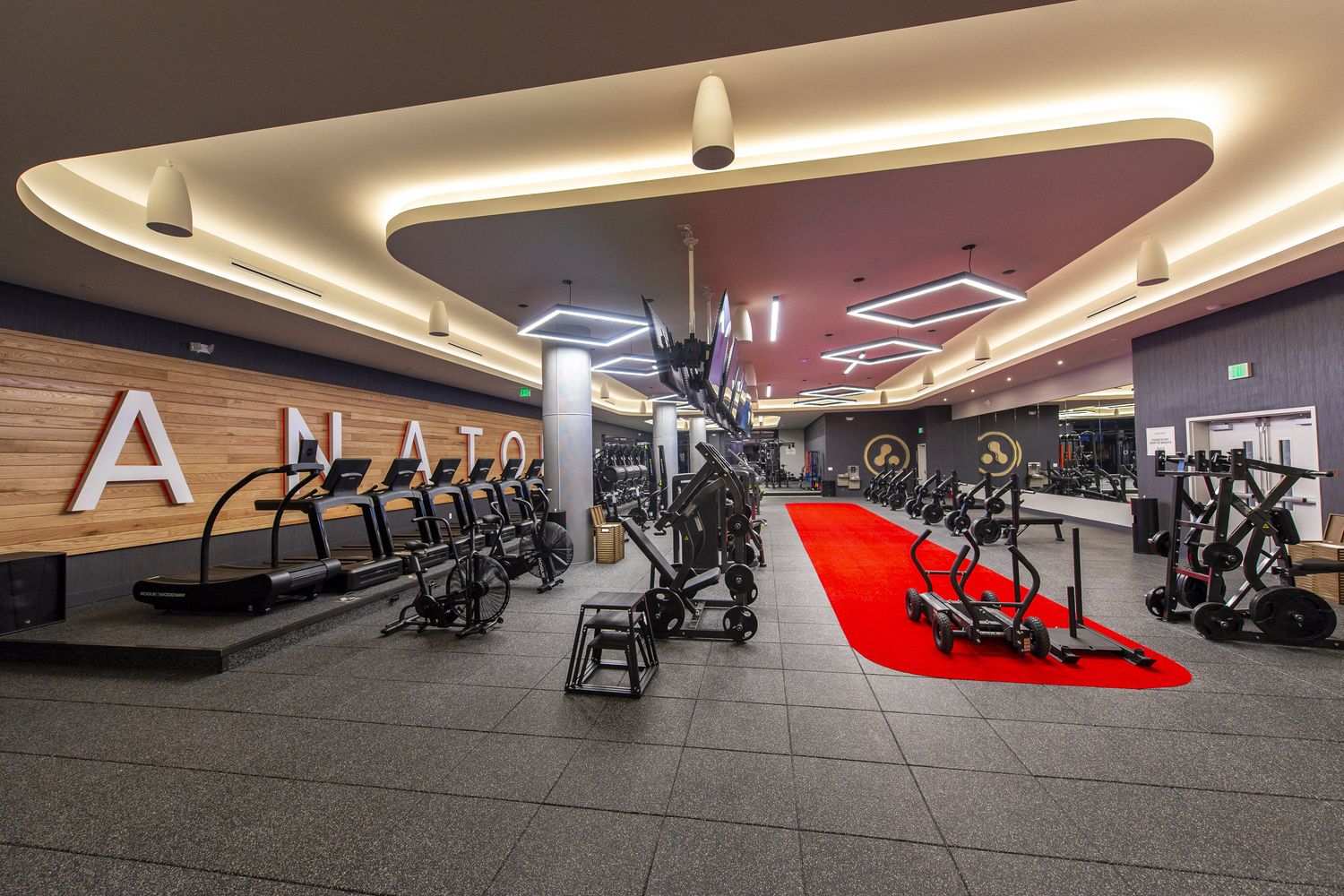 The main floor at Anatomy Aventura