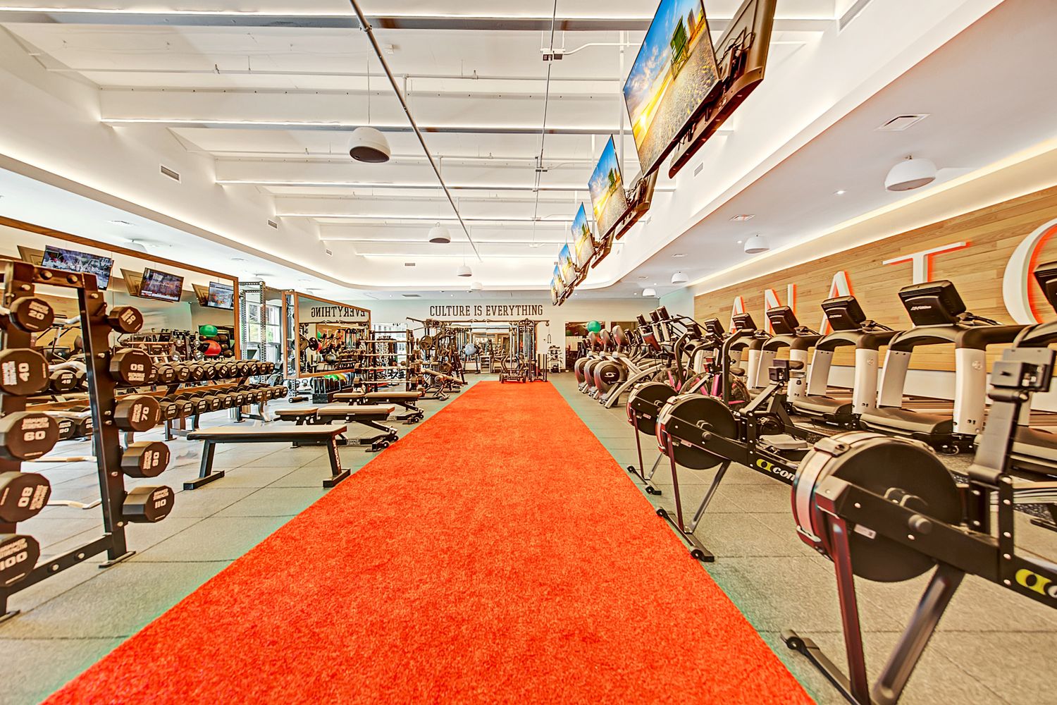 The main floor at Anatomy Coconut Grove