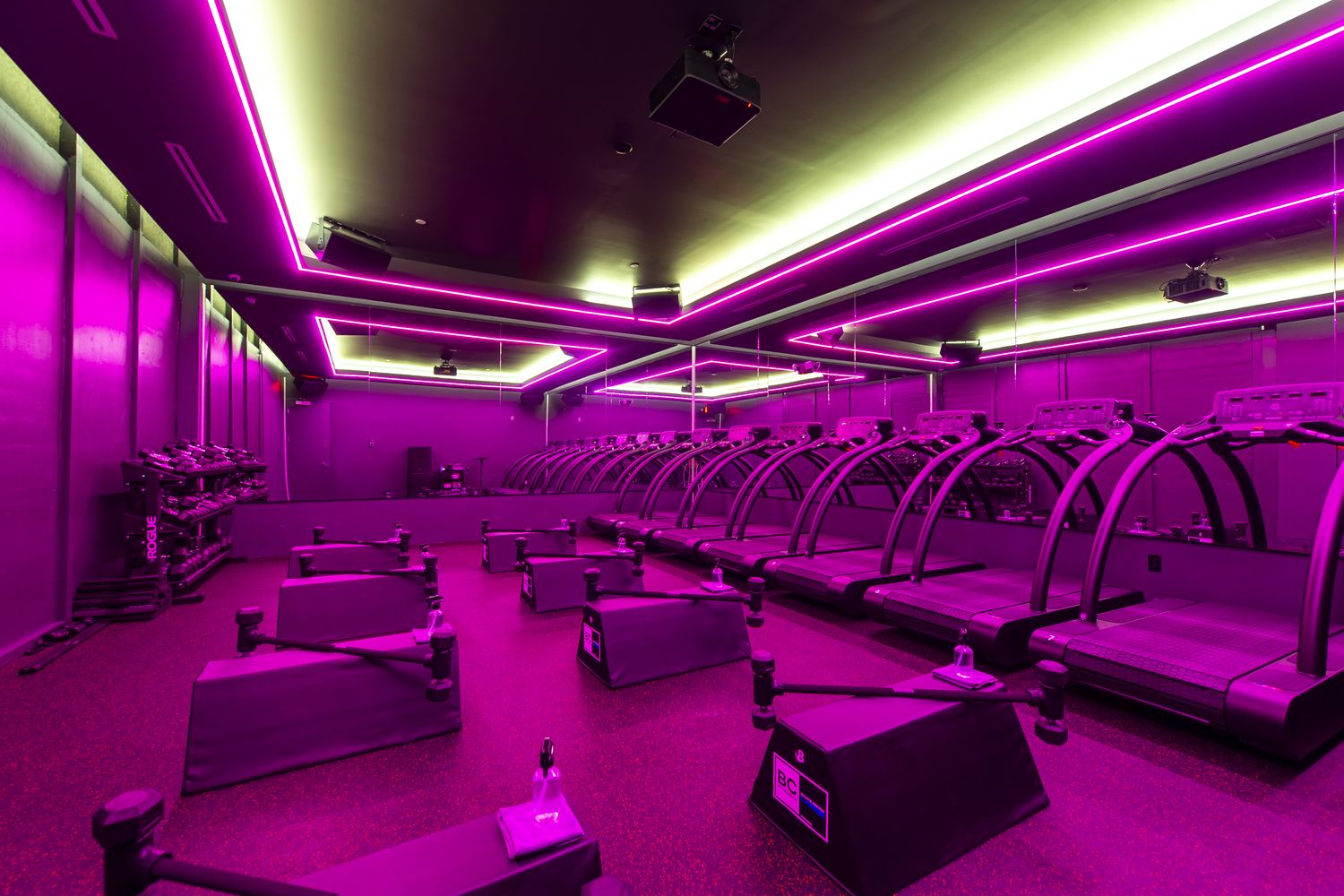 Studio at Anatomy Miami Beach