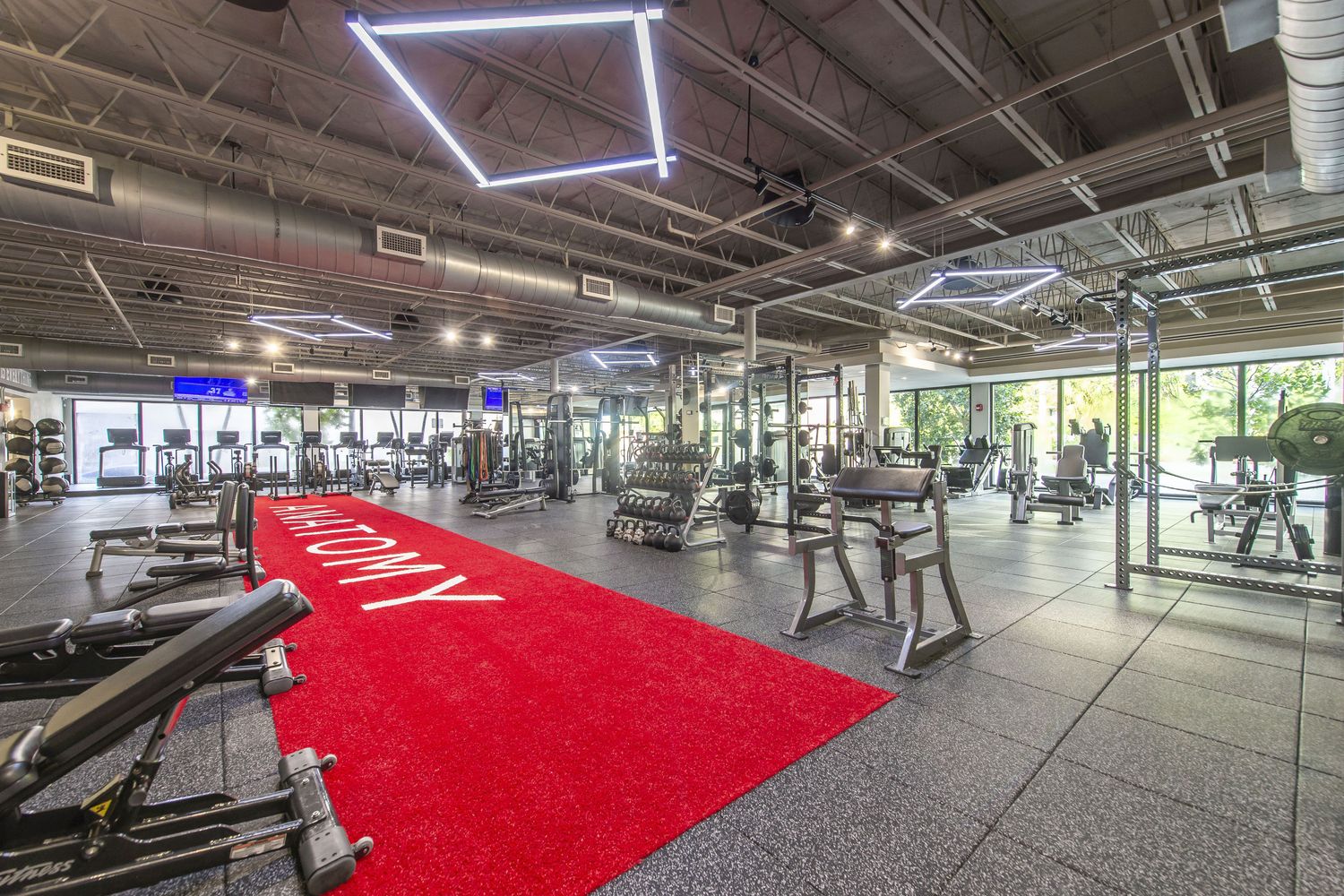 The main floor at Anatomy Midtown