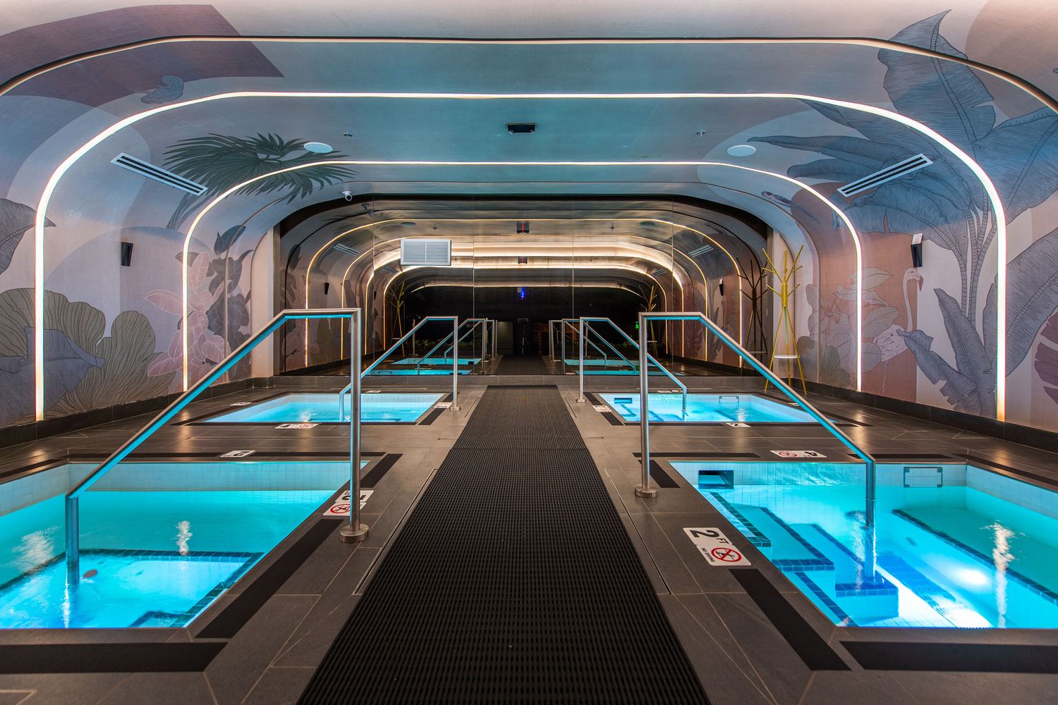 Hot and cold plunge pools at an Anatomy Wellness Sanctuary