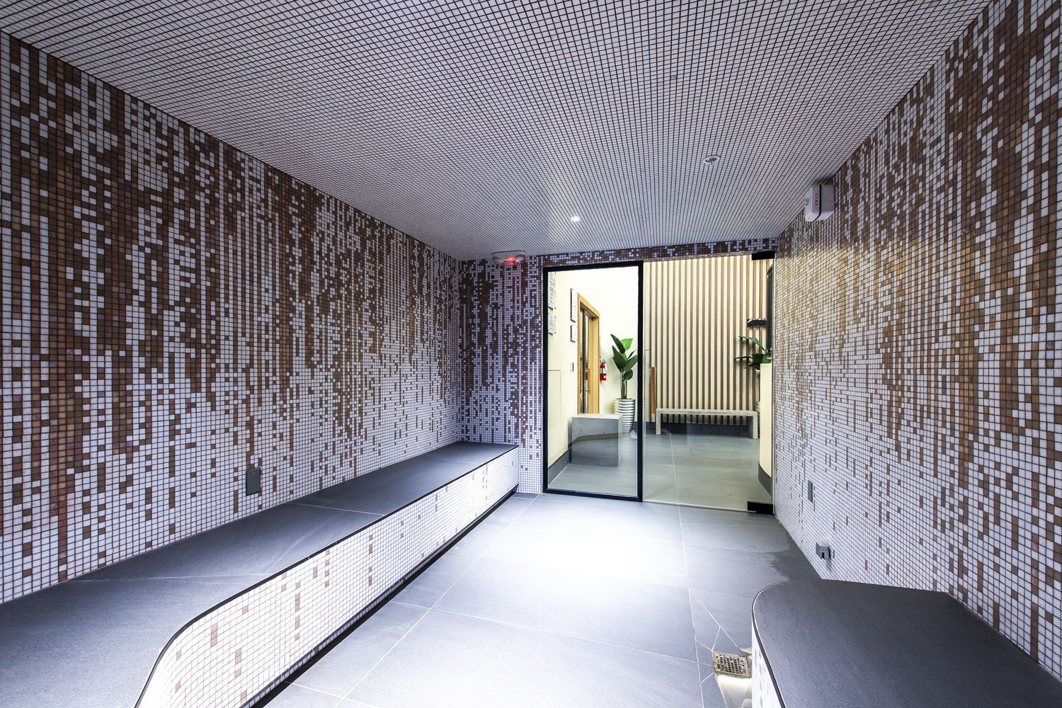Eucalyptus steam room at an Anatomy Wellness Sanctuary