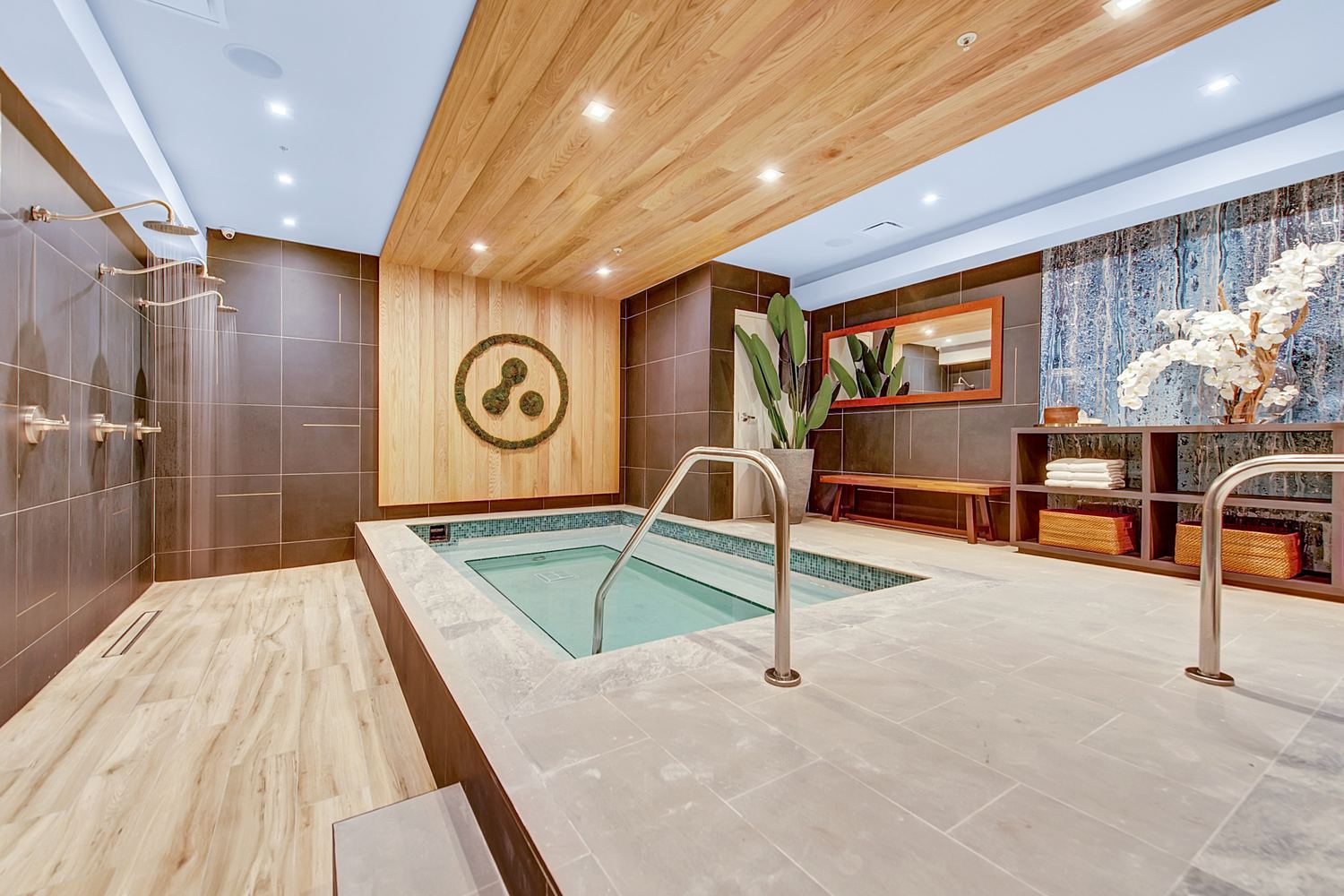 Hot and cold plunge pools at an Anatomy Wellness Sanctuary