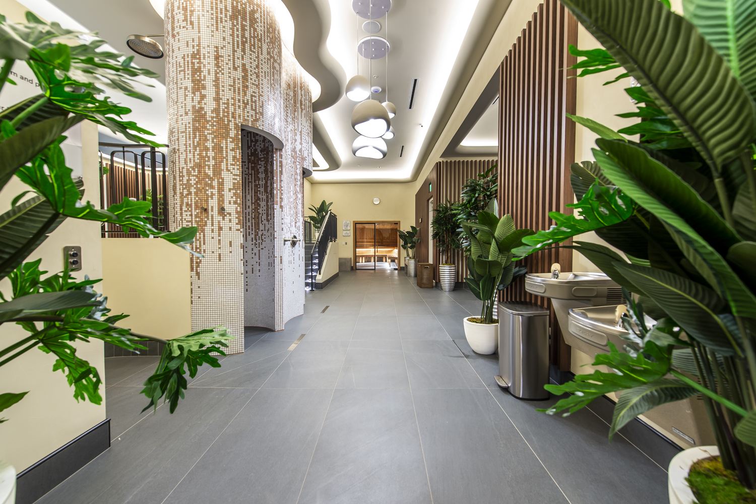 Into the Sanctuary at an Anatomy Wellness Sanctuary