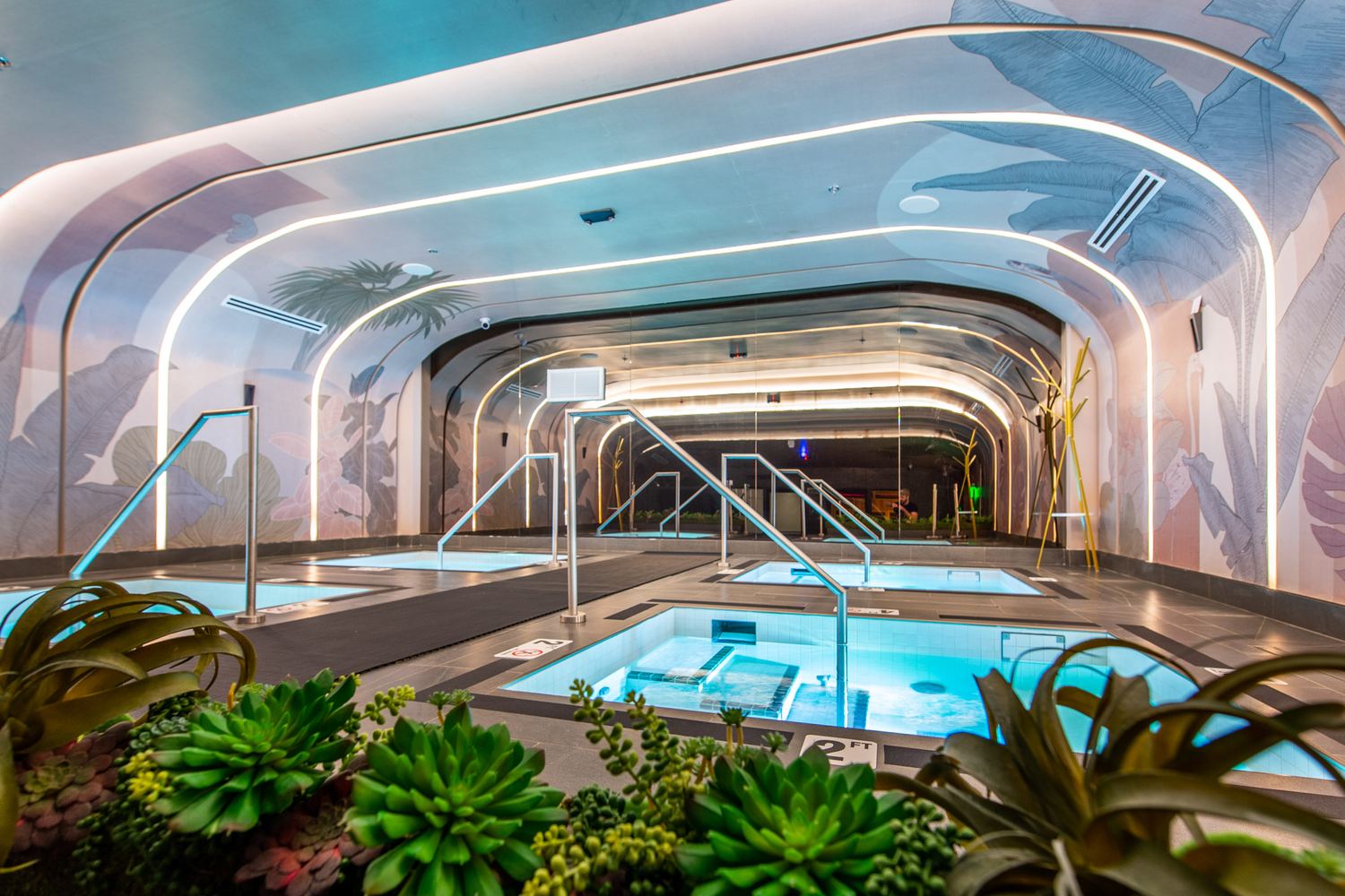 Hot and cold plunge pools at an Anatomy Wellness Sanctuary