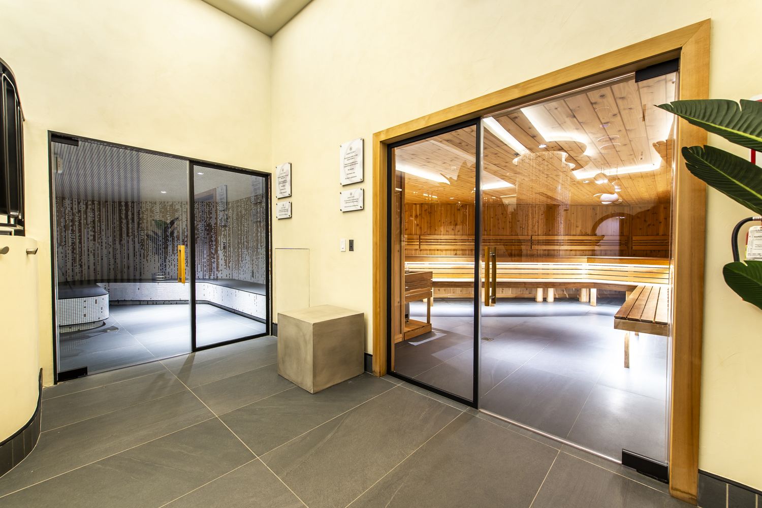 Sauna and steam at an Anatomy Wellness Sanctuary